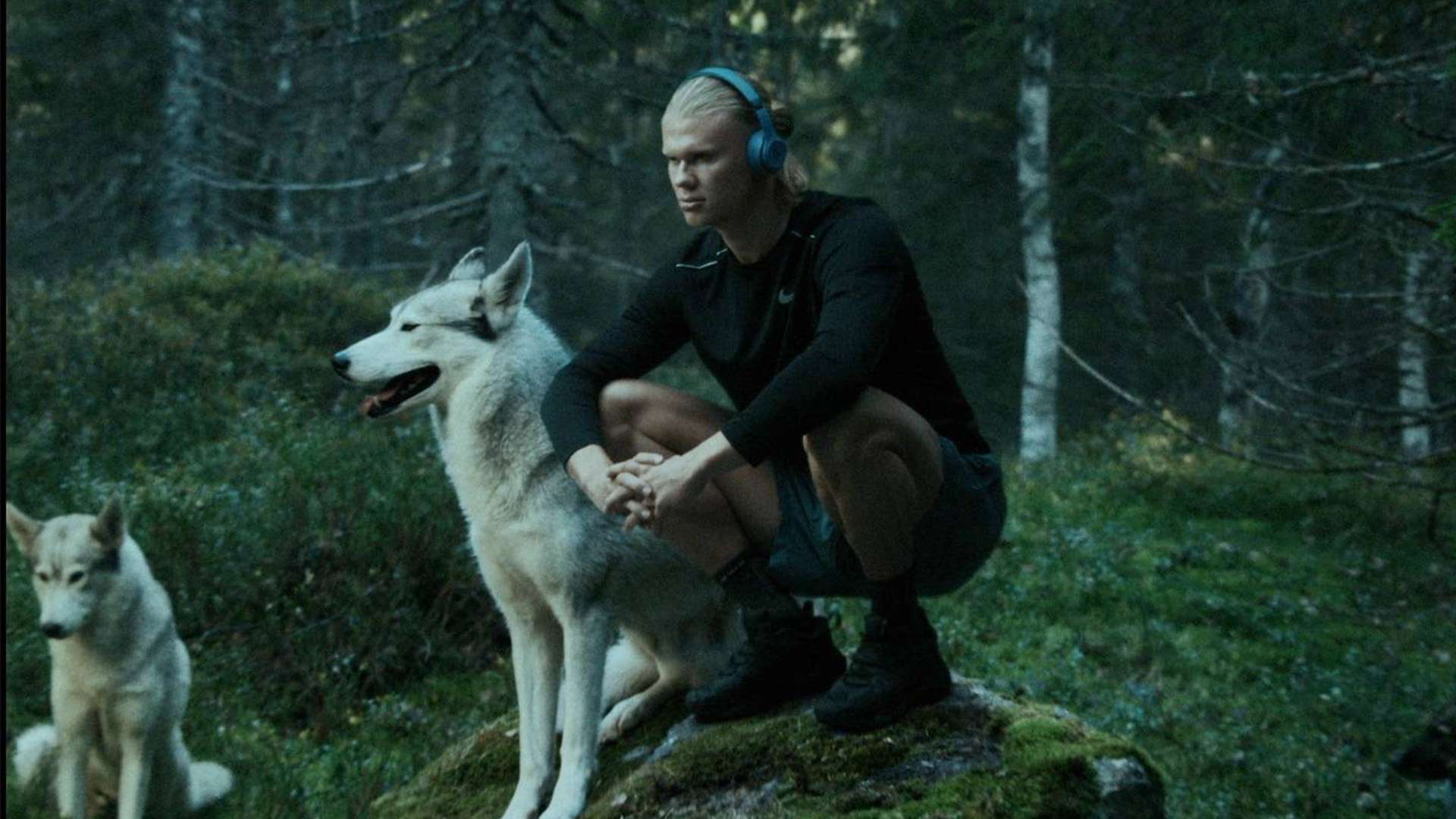 非常重要的 非常重要的